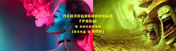 PSILOCYBIN Снежинск