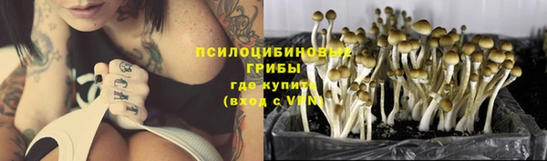 метамфетамин Снежногорск
