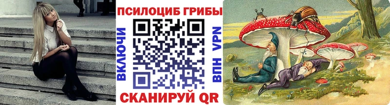Псилоцибиновые грибы Magic Shrooms  Купить где  Сосновка 
